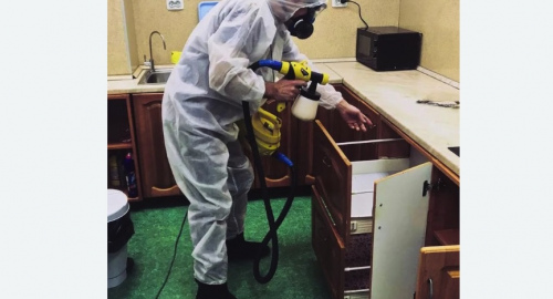 Дезинсекция квартиры. Новомичуринск