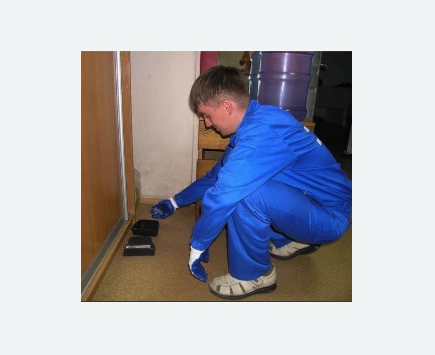 Дератизация крыс в Новомичуринске