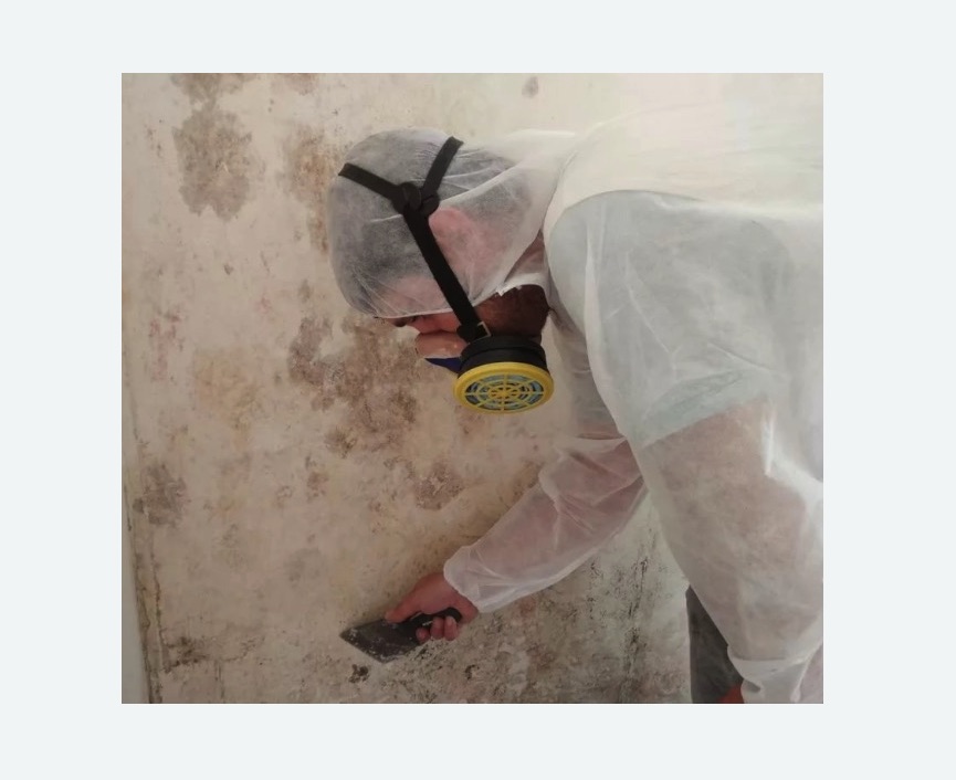 Обработка стен от плесени в Новомичуринске