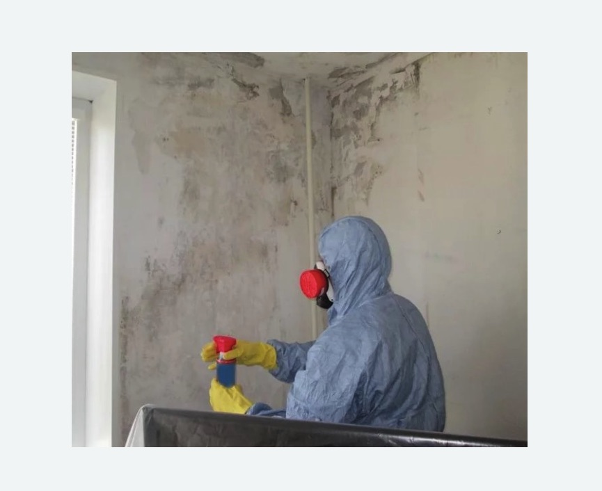 Удаление плесени в квартире в Новомичуринске