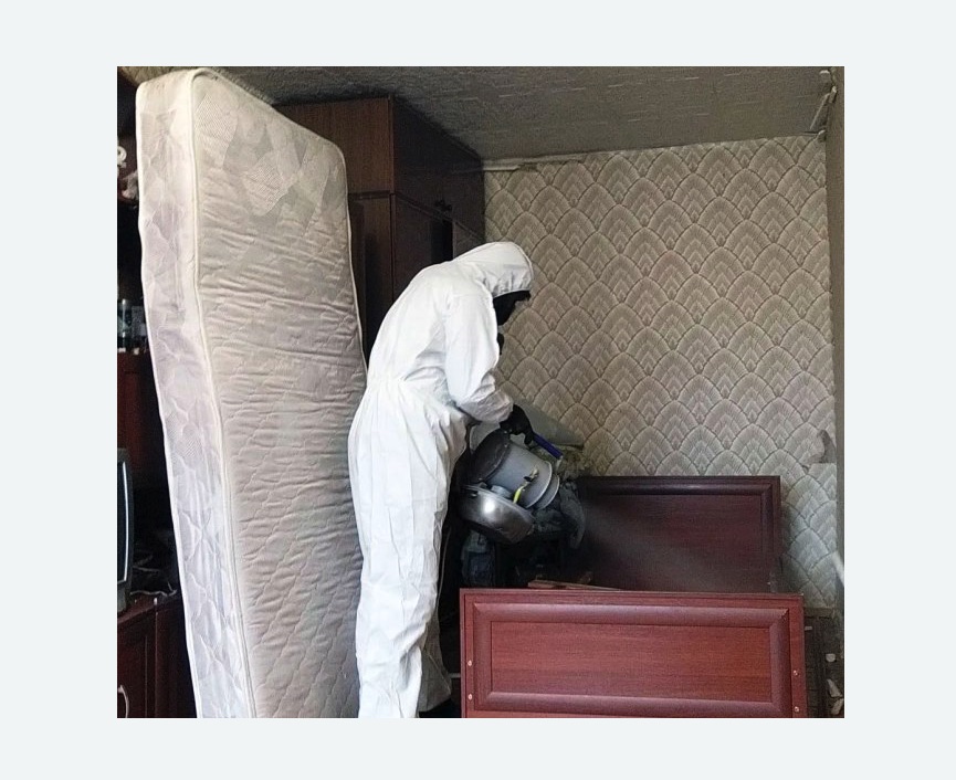 дезинфекция от клопов в Новомичуринске