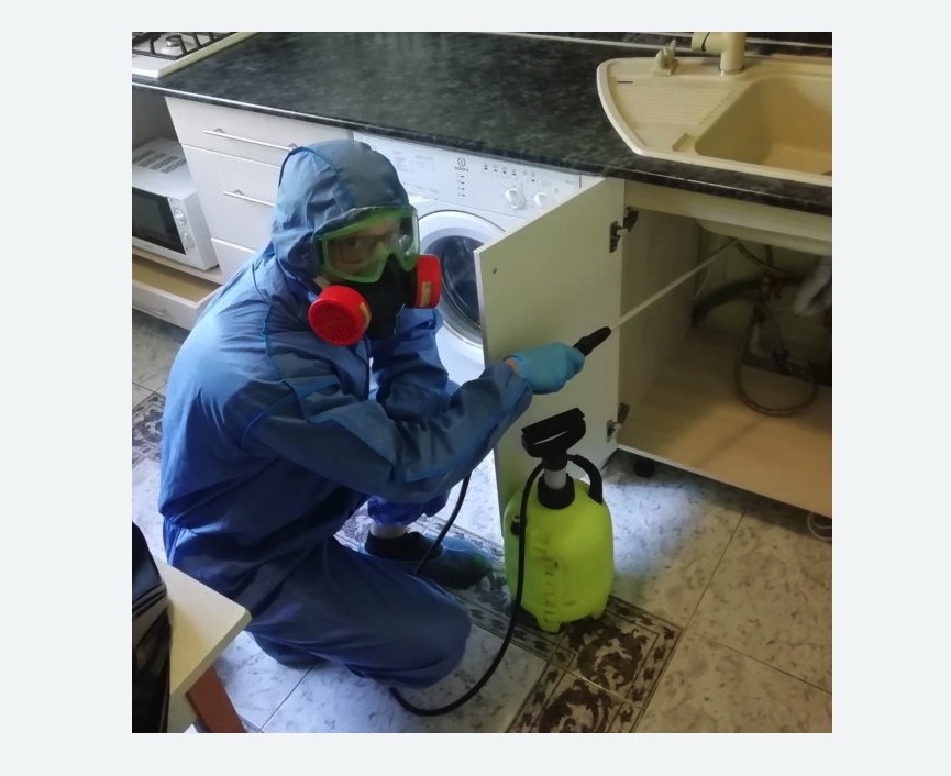 обработка от муравьев в квартире в Новомичуринске