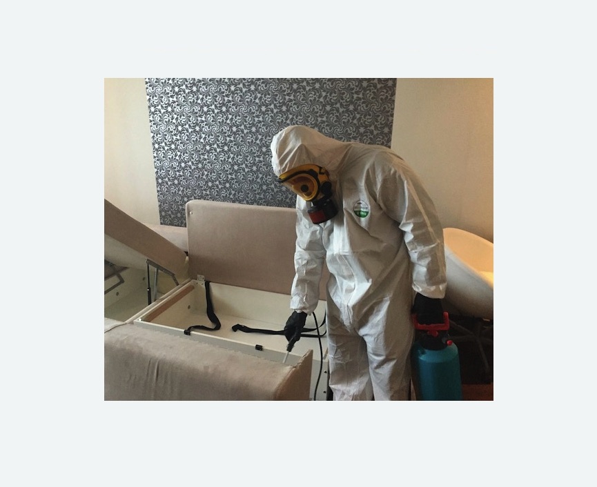 уничтожение клопов в квартире в Новомичуринске