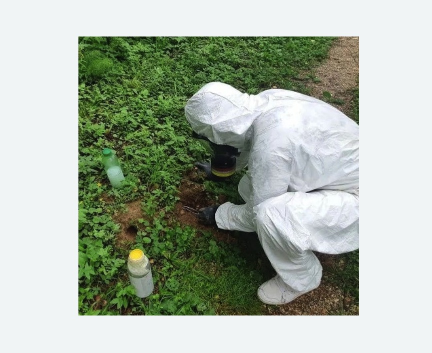 уничтожение кротов на участке в Новомичуринске