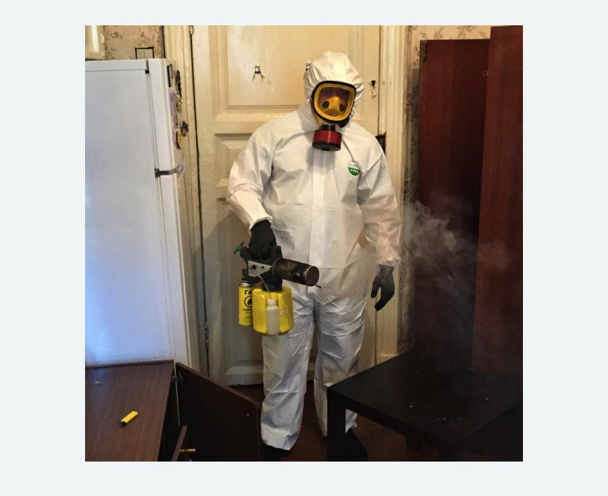 уничтожение муравьев в квартире в Новомичуринске